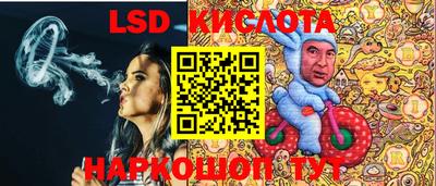 индика Кандалакша