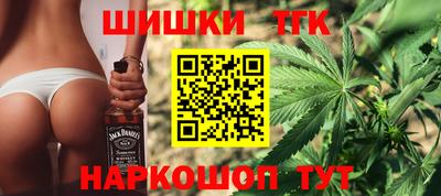 индика Кандалакша