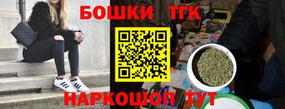 индика Кандалакша