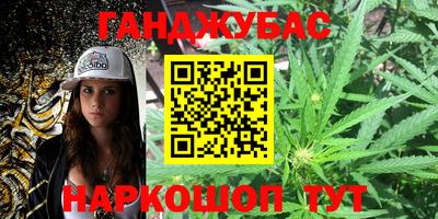 индика Кандалакша