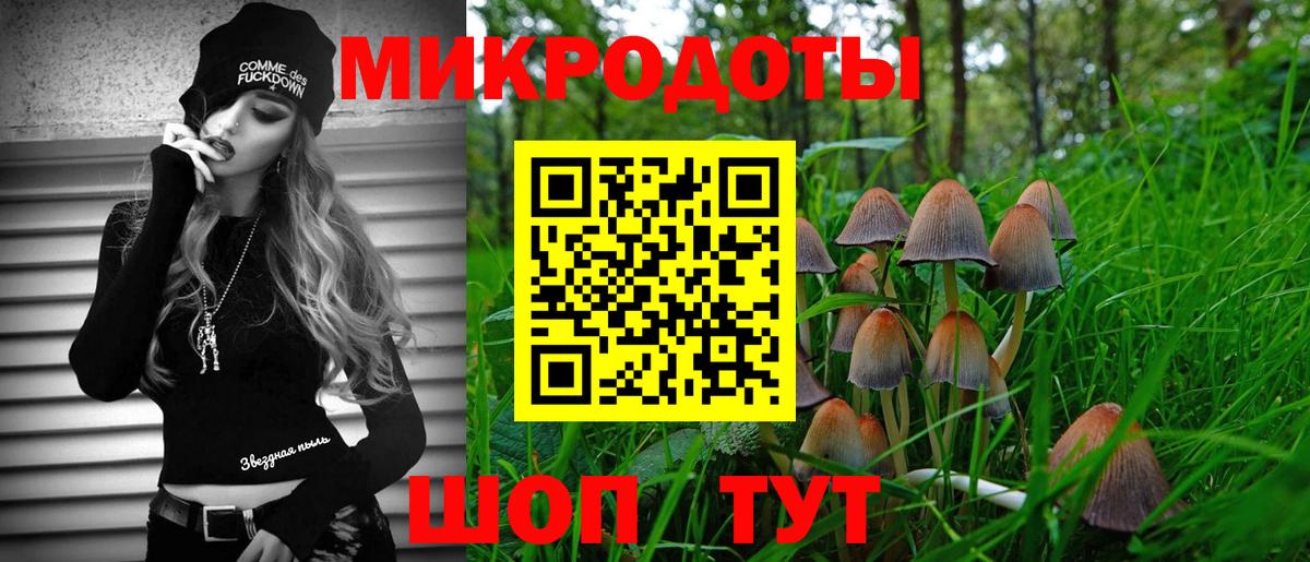 Красный Сулин  Псилоцибиновые грибы мухоморы  Вход с VPN 